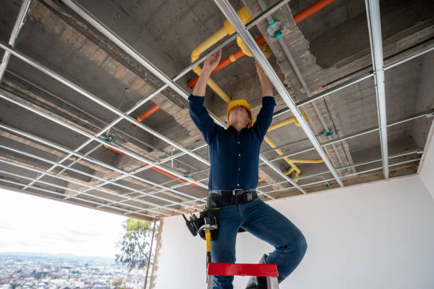 Best Plumbing Inspection Services  in Crystal Falls, MI
